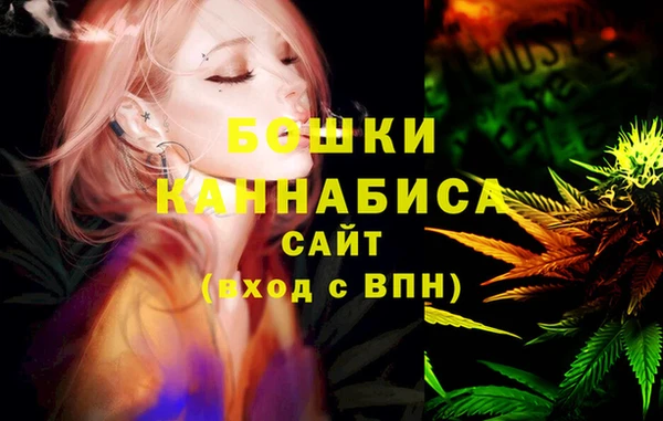 крисы Мегион