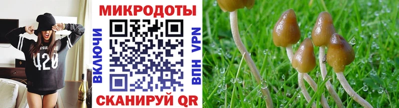 продажа наркотиков  Опочка  Галлюциногенные грибы Magic Shrooms 