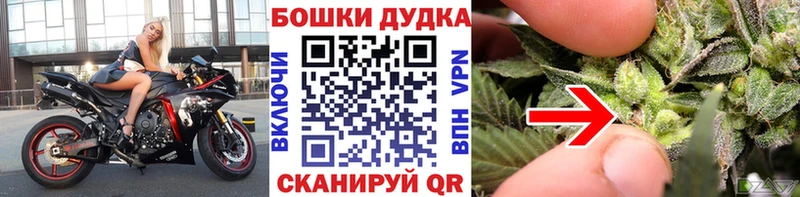 Каннабис ГИДРОПОН  Опочка 